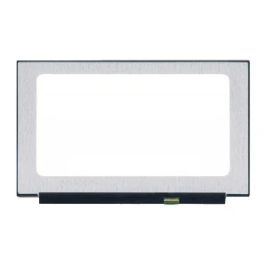 15.6 Inch LED Ultra 40 Pin QHD Borderless IPS (2560*1600) 165Hrz Matt/Glossy Notebook Display