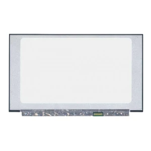 15.6 Inch Ultra 30 Pin FHD Borderless IPS (1920x1080) (Different Circuit) Matt/Glossy Notebook Display